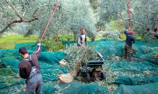&Epsilon;&pi;&iota;&delta;&omicron;&tau;ή&sigma;&epsilon;&iota;&sigmaf;... &mu;&epsilon;&tau;&rsquo; &epsilon;&pi;&iota;&sigma;&tau;&rho;&omicron;&phi;ή&sigmaf; &tau;&rho;ί&alpha; &chi;&rho;ό&nu;&iota;&alpha; &mu;&epsilon;&tau;ά