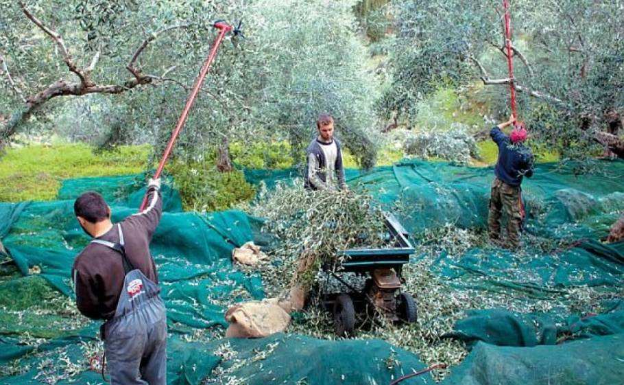 &Epsilon;&pi;&iota;&delta;&omicron;&tau;ή&sigma;&epsilon;&iota;&sigmaf;... &mu;&epsilon;&tau;&rsquo; &epsilon;&pi;&iota;&sigma;&tau;&rho;&omicron;&phi;ή&sigmaf; &tau;&rho;ί&alpha; &chi;&rho;ό&nu;&iota;&alpha; &mu;&epsilon;&tau;ά