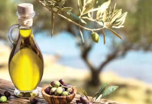 Η Λακωνία στον πυρήνα της επόμενης ημέρας για το λάδι