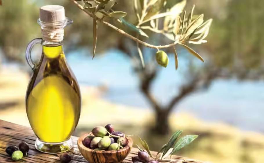 &Eta; &Lambda;&alpha;&kappa;&omega;&nu;ί&alpha; &sigma;&tau;&omicron;&nu; &pi;&upsilon;&rho;ή&nu;&alpha; &tau;&eta;&sigmaf; &epsilon;&pi;ό&mu;&epsilon;&nu;&eta;&sigmaf; &eta;&mu;έ&rho;&alpha;&sigmaf; &gamma;&iota;&alpha; &tau;&omicron; &lambda;ά&delta;&iota;