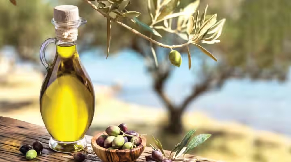 &Eta; &Lambda;&alpha;&kappa;&omega;&nu;ί&alpha; &sigma;&tau;&omicron;&nu; &pi;&upsilon;&rho;ή&nu;&alpha; &tau;&eta;&sigmaf; &epsilon;&pi;ό&mu;&epsilon;&nu;&eta;&sigmaf; &eta;&mu;έ&rho;&alpha;&sigmaf; &gamma;&iota;&alpha; &tau;&omicron; &lambda;ά&delta;&iota;