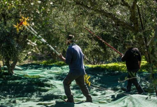 Δρομολογήθηκε η ρευματοδότηση στην ύπαιθρο της Λακωνίας