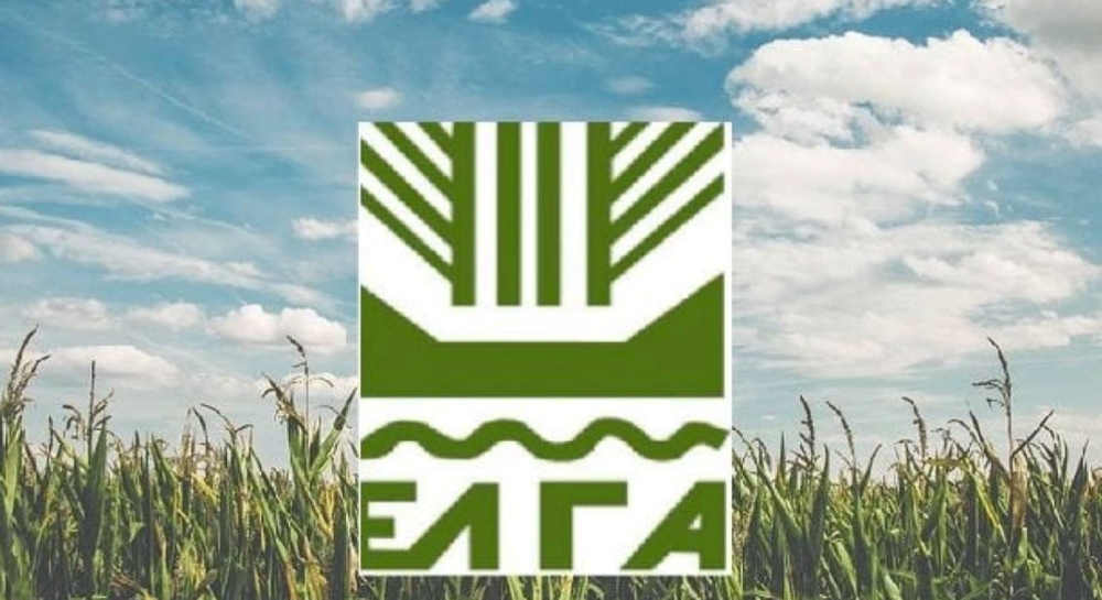 &Nu;έ&omicron; &Delta;&Sigma; &gamma;&iota;&alpha; &tau;&omicron;&nu; &Epsilon;&Lambda;&Gamma;&Alpha;