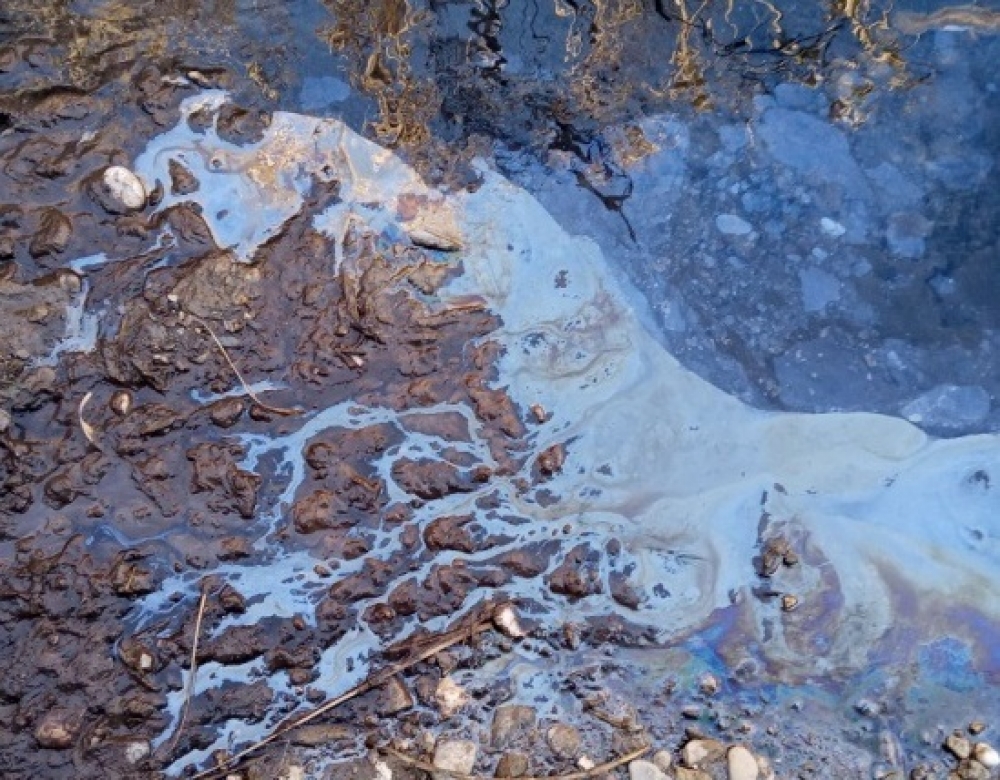 &Alpha;&pi;&epsilon;&lambda;&pi;&iota;&sigma;&tau;&iota;&kappa;ή &eta; &kappa;&alpha;&tau;ά&sigma;&tau;&alpha;&sigma;&eta; &mu;&epsilon; &tau;&alpha; &alpha;&pi;ό&beta;&lambda;&eta;&tau;&alpha; &sigma;&tau;&omicron;&nu; &Epsilon;&upsilon;&rho;ώ&tau;&alpha; (&Phi;&Omega;&Tau;&Omicron;)