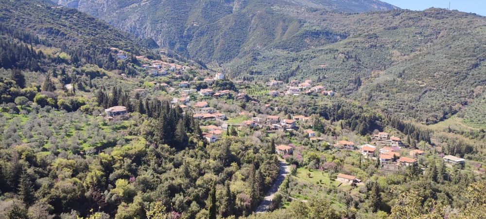 &Alpha;&kappa;&upsilon;&rho;ώ&theta;&eta;&kappa;&epsilon; &tau;&omicron; &pi;&alpha;&nu;&eta;&gamma;ύ&rho;&iota;  &sigma;&tau;&eta;&nu; &Tau;&rho;ύ&pi;&eta;