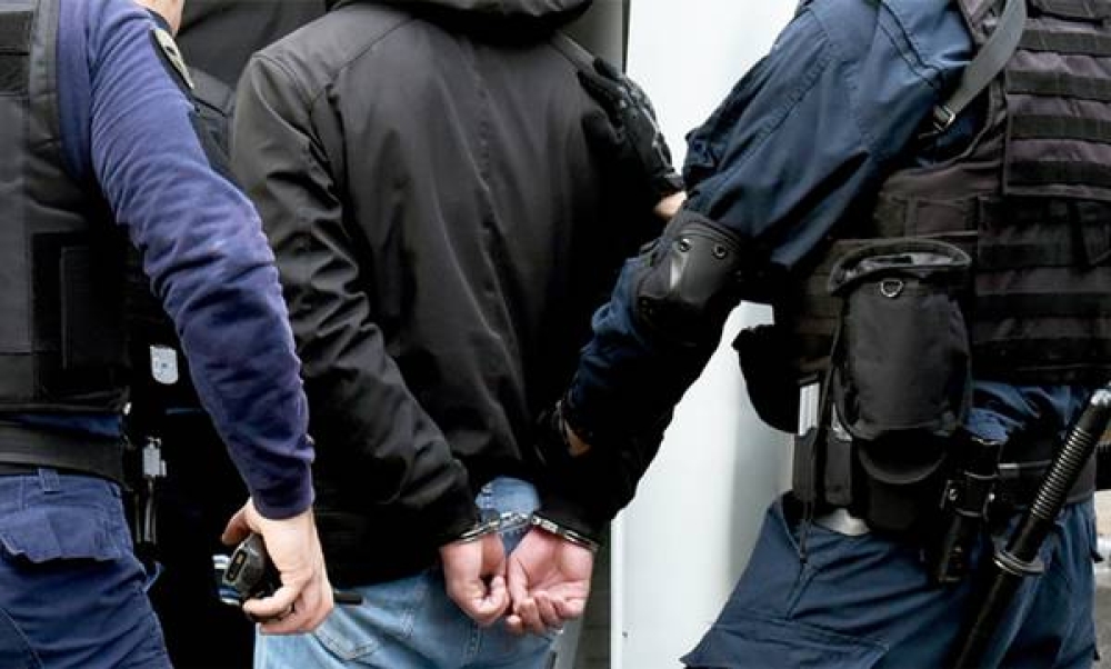 &Sigma;&pi;ά&rho;&tau;&eta;: &Eta; &sigma;&omicron;&kappa;&omicron;&lambda;ά&tau;&alpha; &kappa;&alpha;&iota; &mu;&iota;&alpha; &lambda;ά&mu;&alpha; &tau;&omicron;&upsilon;&sigmaf; έ&sigma;&tau;&epsilon;&iota;&lambda;&alpha;&nu; &sigma;&tau;&alpha; &kappa;&rho;&alpha;&tau;&eta;&tau;ή&rho;&iota;&alpha;