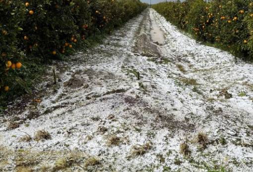 ΕΛΓΑ: Δηλώσεις ζημιάς από χαλάζι για την Κοινότητα Γουβών Δ. Ευρώτα