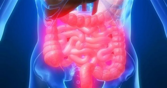 Ερευνητές πέτυχαν τη δημιουργία ανθρώπινου εντέρου σε πειραματικό περιβάλλον