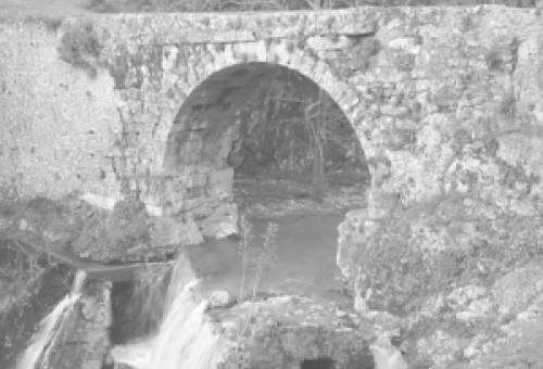 Βήματα με προορισμό την ιστορία στο Ξηροκάμπι: Μαθητές γίνονται ξεναγοί πολιτισμού