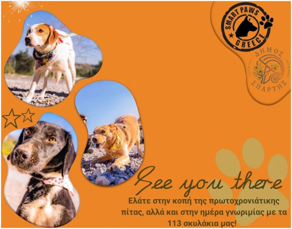 &Kappa;&omicron;&pi;ή &beta;&alpha;&sigma;&iota;&lambda;ό&pi;&iota;&tau;&alpha;&sigmaf; &pi;&alpha;&rho;έ&alpha; &mu;&epsilon; &tau;&alpha; &Sigma;&pi;&alpha;&rho;&tau;&iota;&alpha;&tau;ά&kappa;&iota;&alpha;