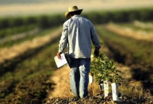 Τέλη Αυγούστου η προθεσμία καταβολής της ειδικής ασφαλιστικής εισφοράς