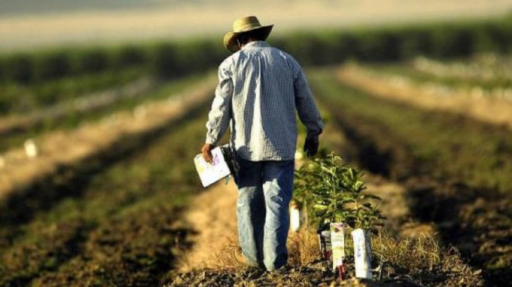 &Tau;έ&lambda;&eta; &Alpha;&upsilon;&gamma;&omicron;ύ&sigma;&tau;&omicron;&upsilon; &eta; &pi;&rho;&omicron;&theta;&epsilon;&sigma;&mu;ί&alpha; &kappa;&alpha;&tau;&alpha;&beta;&omicron;&lambda;ή&sigmaf; &tau;&eta;&sigmaf; &epsilon;&iota;&delta;&iota;&kappa;ή&sigmaf; &alpha;&sigma;&phi;&alpha;&lambda;&iota;&sigma;&tau;&iota;&kappa;ή&sigmaf; &epsilon;&iota;&sigma;&phi;&omicron;&rho;ά&sigmaf;