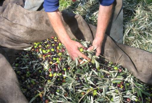 Μετατέθηκε για τον Μάιο του 2026 η α’ φάση του ψηφιακού δελτίου αποστολής