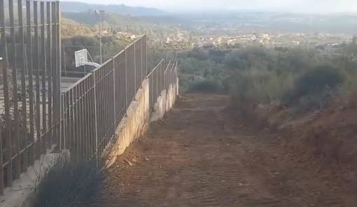 &Delta;&iota;ά&nu;&omicron;&iota;&xi;&eta; &omicron;&delta;&omicron;ύ &delta;&iota;&alpha;&phi;&upsilon;&gamma;ή&sigmaf; &gamma;&iota;&alpha; &Mu;&omicron;&upsilon;&sigma;&iota;&kappa;ό &Sigma;&chi;&omicron;&lambda;&epsilon;ί&omicron; &kappa;&alpha;&iota; &Pi;&Alpha;&Pi;&Epsilon;&Lambda; &sigma;&tau;&omicron;&nu; &Kappa;&lambda;&alpha;&delta;ά