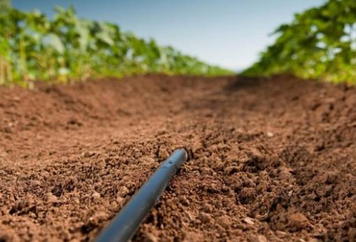 Απονιτροποίηση: Εντάσσονται 11.903 δικαιούχοι