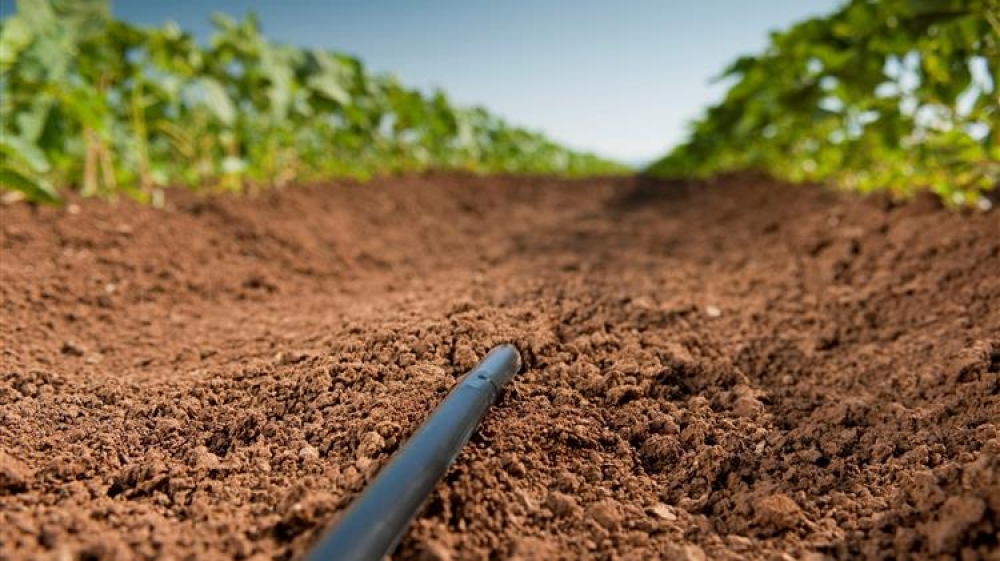 &Alpha;&pi;&omicron;&nu;&iota;&tau;&rho;&omicron;&pi;&omicron;ί&eta;&sigma;&eta;: &Epsilon;&nu;&tau;ά&sigma;&sigma;&omicron;&nu;&tau;&alpha;&iota; 11.903 &delta;&iota;&kappa;&alpha;&iota;&omicron;ύ&chi;&omicron;&iota;