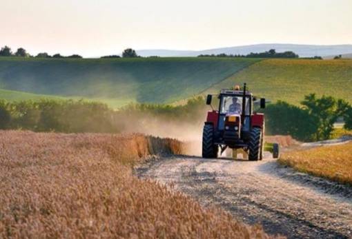 Απαλλαγή από την υποχρέωση της αγρανάπαυσης
