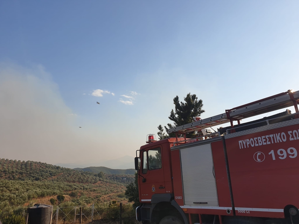 Σε ύφεση η φωτιά στο Δαφνί