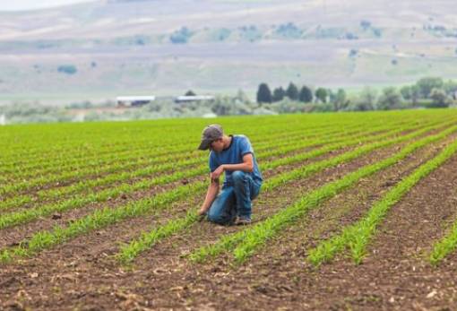 Έως τις 25 Φεβρουαρίου οι αιτήσεις για τους Νέους Αγρότες