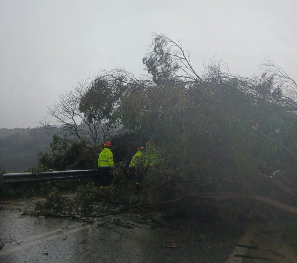 &Epsilon;&upsilon;&kappa;ά&lambda;&upsilon;&pi;&tau;&omicron;&sigmaf; έ&sigma;&pi;&alpha;&sigma;&epsilon; &kappa;&iota; έ&pi;&epsilon;&sigma;&epsilon; &sigma;&tau;&eta;&nu; &Epsilon;&Omicron; &Sigma;&pi;ά&rho;&tau;&eta;&sigmaf;-&Gamma;&upsilon;&theta;&epsilon;ί&omicron;&upsilon;, ά&mu;&epsilon;&sigma;&eta; &eta; &alpha;&pi;&omicron;&kappa;&alpha;&tau;ά&sigma;&tau;&alpha;&sigma;&eta;