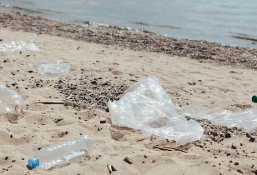 WWF: Κολυμπάμε σε παραλίες με αποτσίγαρα και μικρά κομμάτια πλαστικών