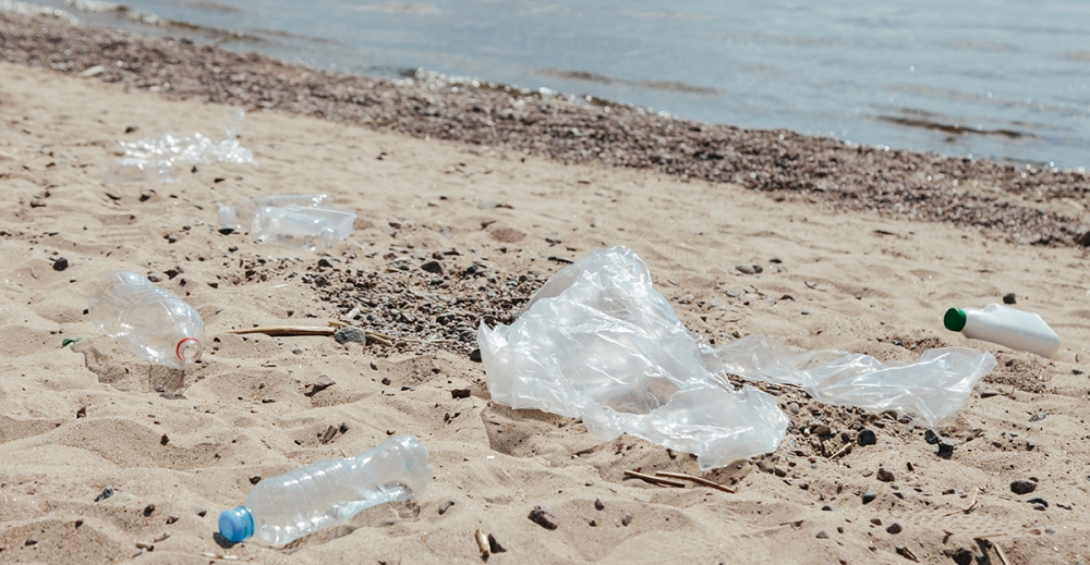 WWF: &Kappa;&omicron;&lambda;&upsilon;&mu;&pi;ά&mu;&epsilon; &sigma;&epsilon; &pi;&alpha;&rho;&alpha;&lambda;ί&epsilon;&sigmaf; &mu;&epsilon; &alpha;&pi;&omicron;&tau;&sigma;ί&gamma;&alpha;&rho;&alpha; &kappa;&alpha;&iota; &mu;&iota;&kappa;&rho;ά &kappa;&omicron;&mu;&mu;ά&tau;&iota;&alpha; &pi;&lambda;&alpha;&sigma;&tau;&iota;&kappa;ώ&nu;