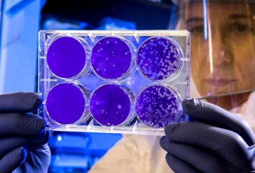 Το μίσος, η βασική αιτία των ανισοτήτων στην υγεία