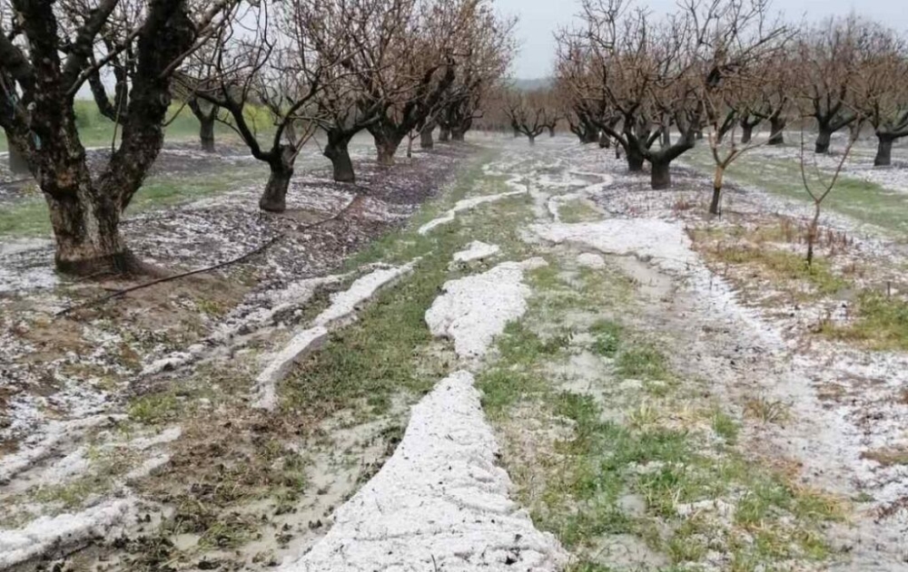 &Epsilon;&gamma;&kappa;&rho;ί&theta;&eta;&kappa;&alpha;&nu; &omicron;&iota; &alpha;&nu;&alpha;&gamma;&gamma;&epsilon;&lambda;ί&epsilon;&sigmaf; &zeta;&eta;&mu;&iota;ώ&nu; &alpha;&pi;ό &tau;&omicron; &chi;&alpha;&lambda;ά&zeta;&iota; &sigma;&tau;&omicron;&nu; &Delta;. &Epsilon;&upsilon;&rho;ώ&tau;&alpha;