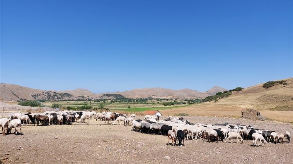 &Chi;&omega;&rho;ί&sigmaf; &pi;&rho;&omicron;&kappa;&alpha;&tau;&alpha;&beta;&omicron;&lambda;ή ό&sigma;&omicron;&iota; &delta;&epsilon;&nu; &omicron;&lambda;&omicron;&kappa;&lambda;&eta;&rho;ώ&sigma;&omicron;&upsilon;&nu; &tau;&iota;&sigmaf; &delta;&iota;&alpha;&delta;&iota;&kappa;&alpha;&sigma;ί&epsilon;&sigmaf; &alpha;&pi;&omicron;&gamma;&rho;&alpha;&phi;ή&sigmaf; &zeta;&omega;&iota;&kappa;&omicron;ύ &kappa;&epsilon;&phi;&alpha;&lambda;&alpha;ί&omicron;&upsilon;