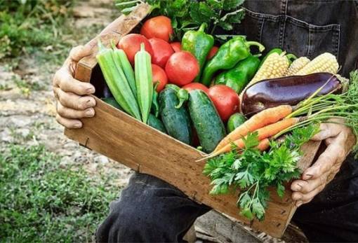 Συμπληρωματικά μέτρα για την εφαρμογή  των επιχειρησιακών προγραμμάτων στα οπωροκηπευτικά