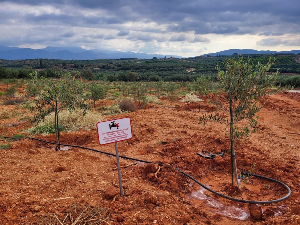 Άρδευση χωραφιών μέσω του Βιολογικού Μολάων