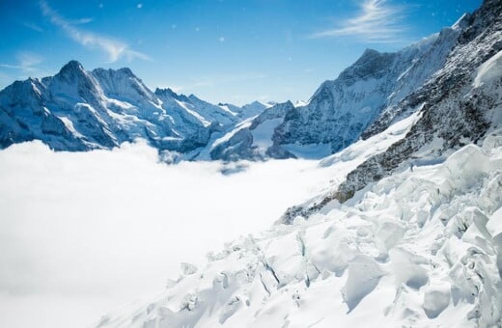 &Epsilon;&lambda;&beta;&epsilon;&tau;ί&alpha;: &Omicron;&iota; &pi;&alpha;&gamma;&epsilon;&tau;ώ&nu;&epsilon;&sigmaf; έ&chi;&alpha;&sigma;&alpha;&nu; &tau;&omicron; 10% &tau;&omicron;&upsilon; ό&gamma;&kappa;&omicron;&upsilon; &tau;&omicron;&upsilon;&sigmaf; &mu;έ&sigma;&alpha; &sigma;&epsilon; &delta;ύ&omicron; &chi;&rho;ό&nu;&iota;&alpha;