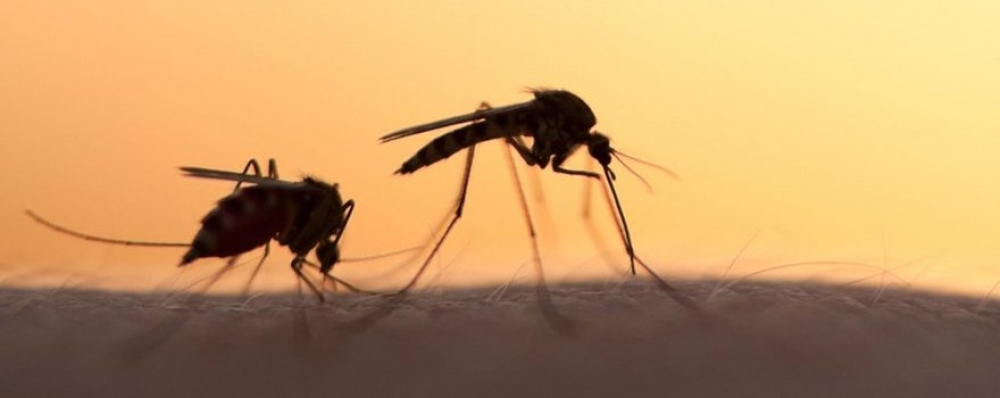 &Sigma;&epsilon; &epsilon;&pi;&iota;&phi;&upsilon;&lambda;&alpha;&kappa;ή &gamma;&iota;&alpha; &tau;&eta; &mu;&epsilon;&tau;ά&delta;&omicron;&sigma;&eta; &nu;&omicron;&sigma;&eta;&mu;ά&tau;&omega;&nu; &alpha;&pi;ό &tau;&alpha; &kappa;&omicron;&upsilon;&nu;&omicron;ύ&pi;&iota;&alpha;