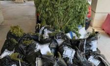 &laquo;&Pi;&rho;ά&sigma;&iota;&nu;&eta;&raquo; &mu;&pi;ί&zeta;&nu;&alpha; 160.000 &epsilon;&upsilon;&rho;ώ &xi;&epsilon;&rho;ί&zeta;&omega;&sigma;&epsilon; &eta; &Epsilon;&Lambda;&Alpha;&Sigma; &sigma;&tau;&eta; &Mu;ά&nu;&eta;