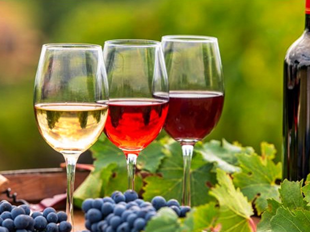 &Delta;&rho;ά&sigma;&eta; &omicron;&iota;&nu;&omicron;&tau;&omicron;&upsilon;&rho;&iota;&sigma;&mu;&omicron;ύ &sigma;&tau;&eta;&nu; &Pi;&epsilon;&lambda;&omicron;&pi;ό&nu;&nu;&eta;&sigma;&omicron;