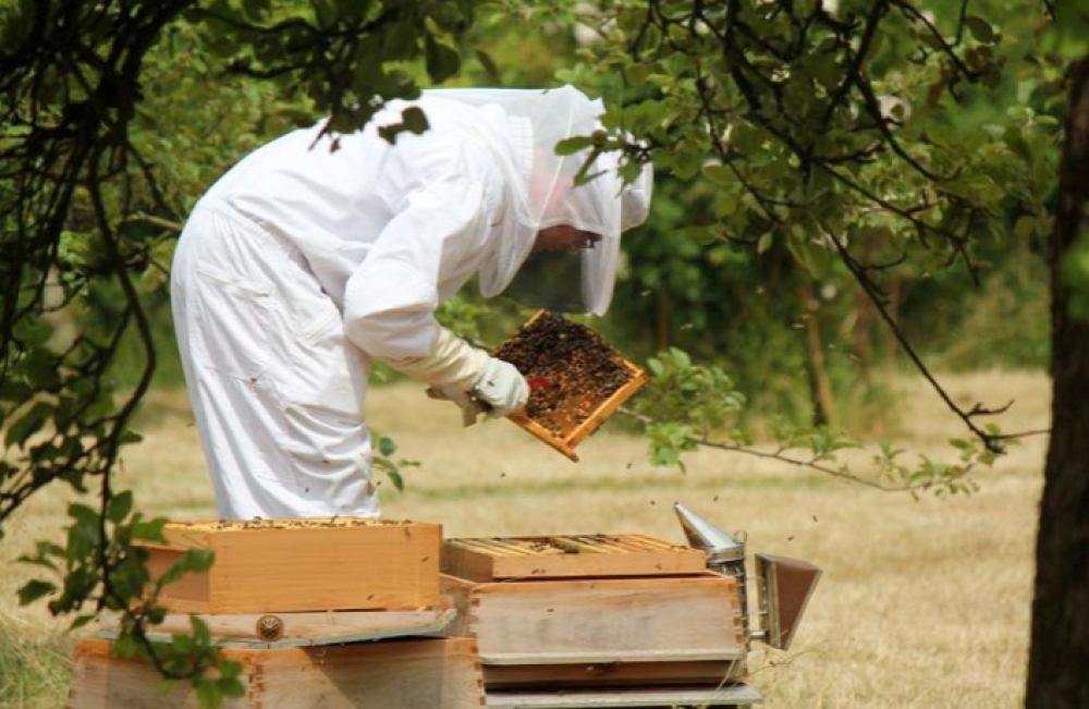 &Sigma;&epsilon;&mu;&iota;&nu;ά&rho;&iota;&omicron; &gamma;&iota;&alpha; &mu;&epsilon;&lambda;&iota;&sigma;&sigma;&omicron;&kappa;ό&mu;&omicron;&upsilon;&sigmaf;: &laquo;&Epsilon;&chi;&theta;&rho;&omicron;ί &kappa;&alpha;&iota; &alpha;&sigma;&theta;έ&nu;&epsilon;&iota;&epsilon;&sigmaf; &tau;&omega;&nu; &mu;&epsilon;&lambda;&iota;&sigma;&sigma;ώ&nu;&raquo;
