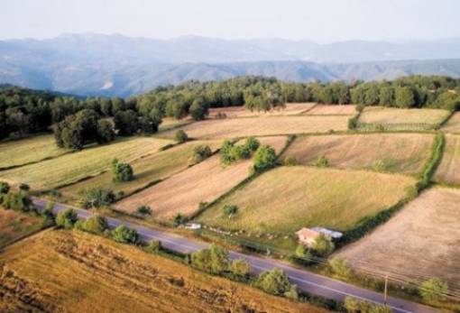 ΟΠΕΚΕΠΕ: Έως 7 Απριλίου η υποβολή αιτημάτων άρσης επικάλυψης