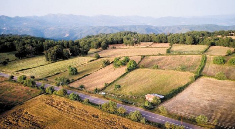 &Omicron;&Pi;&Epsilon;&Kappa;&Epsilon;&Pi;&Epsilon;: Έ&omega;&sigmaf; 7 &Alpha;&pi;&rho;&iota;&lambda;ί&omicron;&upsilon; &eta; &upsilon;&pi;&omicron;&beta;&omicron;&lambda;ή &alpha;&iota;&tau;&eta;&mu;ά&tau;&omega;&nu; ά&rho;&sigma;&eta;&sigmaf; &epsilon;&pi;&iota;&kappa;ά&lambda;&upsilon;&psi;&eta;&sigmaf;