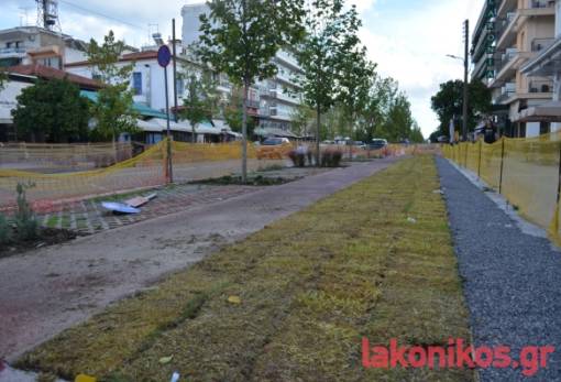 Το γκαζόν… της υπομονής