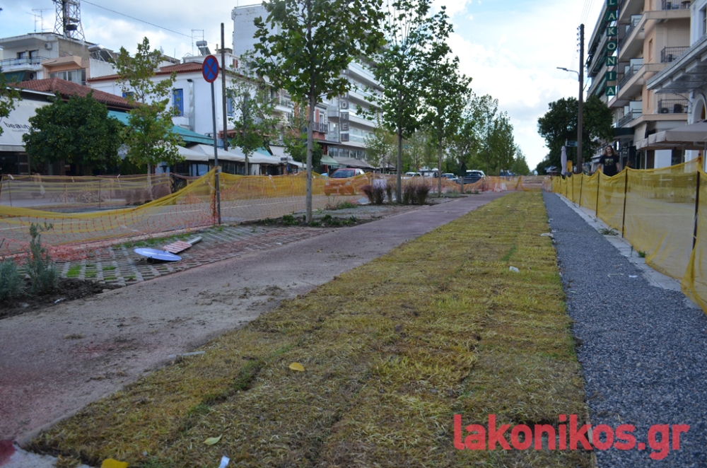 Το γκαζόν… της υπομονής