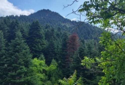 «Απάτητο Βουνό» ο Πάρνωνας με υπουργική απόφαση