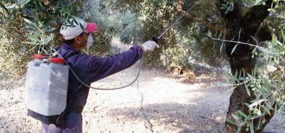 &Delta;&epsilon;ύ&tau;&epsilon;&rho;&omicron;&sigmaf; &psi;&epsilon;&kappa;&alpha;&sigma;&mu;ό&sigmaf; &delta;&alpha;&kappa;&omicron;&kappa;&tau;&omicron;&nu;ί&alpha;&sigmaf; &sigma;&epsilon; &Zeta;&alpha;&rho;&alpha;&phi;ώ&nu;&alpha; &kappa;&alpha;&iota; &Kappa;&alpha;&rho;ί&tau;&sigma;&alpha;