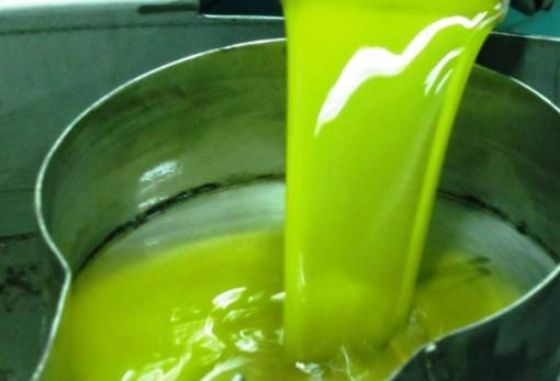 Στις επάλξεις ξανά το ελαιόλαδο στη Λακωνία