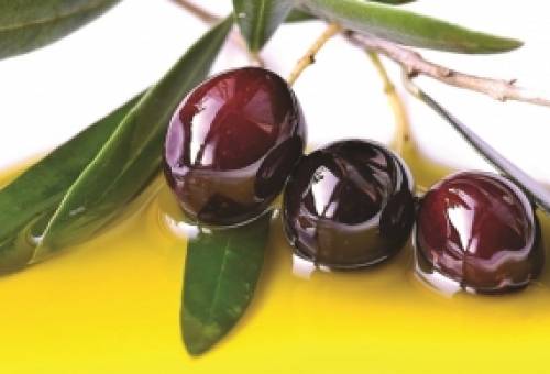 Ένδειξη «Ελιά Καλαμάτας» μόνο στην παραγωγή της Μεσσηνίας