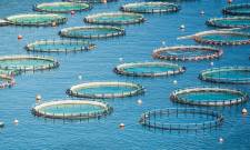 &Nu;έ&omicron; &pi;&rho;ό&gamma;&rho;&alpha;&mu;&mu;&alpha; 26 &epsilon;&kappa;&alpha;&tau;. &epsilon;&upsilon;&rho;ώ &gamma;&iota;&alpha; &tau;&eta;&nu; &epsilon;&nu;ί&sigma;&chi;&upsilon;&sigma;&eta; &tau;&eta;&sigmaf; &mu;&epsilon;&tau;&alpha;&pi;&omicron;ί&eta;&sigma;&eta;&sigmaf; &pi;&rho;&omicron;ϊό&nu;&tau;&omega;&nu; &alpha;&lambda;&iota;&epsilon;ί&alpha;&sigmaf; &kappa;&alpha;&iota; &upsilon;&delta;&alpha;&tau;&omicron;&kappa;&alpha;&lambda;&lambda;&iota;έ&rho;&gamma;&epsilon;&iota;&alpha;&sigmaf;