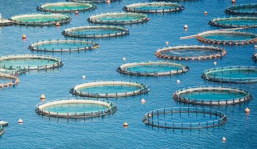 &Nu;έ&omicron; &pi;&rho;ό&gamma;&rho;&alpha;&mu;&mu;&alpha; 26 &epsilon;&kappa;&alpha;&tau;. &epsilon;&upsilon;&rho;ώ &gamma;&iota;&alpha; &tau;&eta;&nu; &epsilon;&nu;ί&sigma;&chi;&upsilon;&sigma;&eta; &tau;&eta;&sigmaf; &mu;&epsilon;&tau;&alpha;&pi;&omicron;ί&eta;&sigma;&eta;&sigmaf; &pi;&rho;&omicron;ϊό&nu;&tau;&omega;&nu; &alpha;&lambda;&iota;&epsilon;ί&alpha;&sigmaf; &kappa;&alpha;&iota; &upsilon;&delta;&alpha;&tau;&omicron;&kappa;&alpha;&lambda;&lambda;&iota;έ&rho;&gamma;&epsilon;&iota;&alpha;&sigmaf;