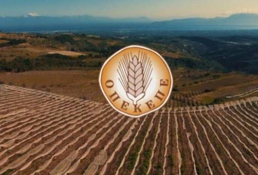 ΟΠΕΚΕΠΕ: Έως τις 12 Σεπτεμβρίου η υποβολή της ΕΑΕ 2024