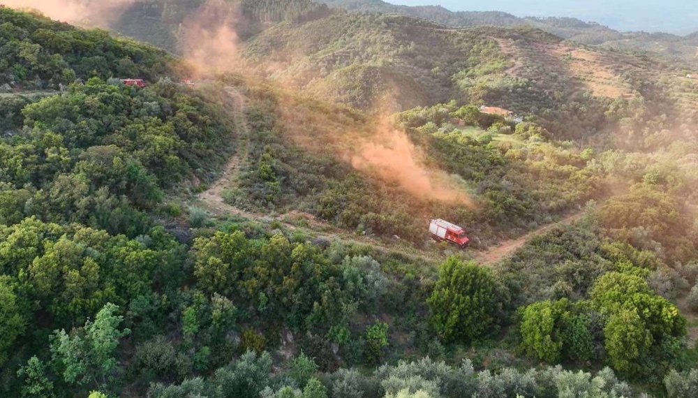 «Πυρανθός»: Λακωνικό μοντέλο-υπόδειγμα στην αναχαίτιση πυρκαγιών