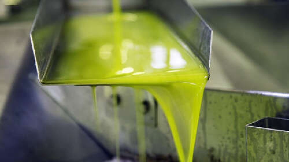 &Sigma;&tau;&alpha; 4,85 &epsilon;&upsilon;&rho;ώ &laquo;έ&phi;&upsilon;&gamma;&epsilon;&raquo; &pi;&alpha;&rho;&theta;έ&nu;&omicron; &epsilon;&lambda;&alpha;&iota;ό&lambda;&alpha;&delta;&omicron; &sigma;&tau;&eta; &nu;ό&tau;&iota;&alpha; &Lambda;&alpha;&kappa;&omega;&nu;ί&alpha;