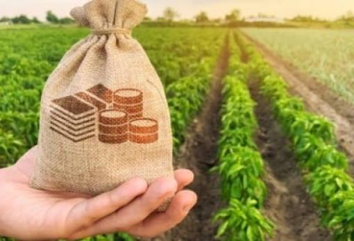 Πληρωμές αγροτών: Ξεκίνησε η αντίστροφη μέτρηση